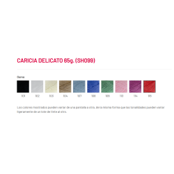 LANA CARICIA DELICATO 65g. (SH099)