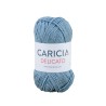 LANA CARICIA DELICATO 65g. (SH099)