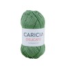 LANA CARICIA DELICATO 65g. (SH099)